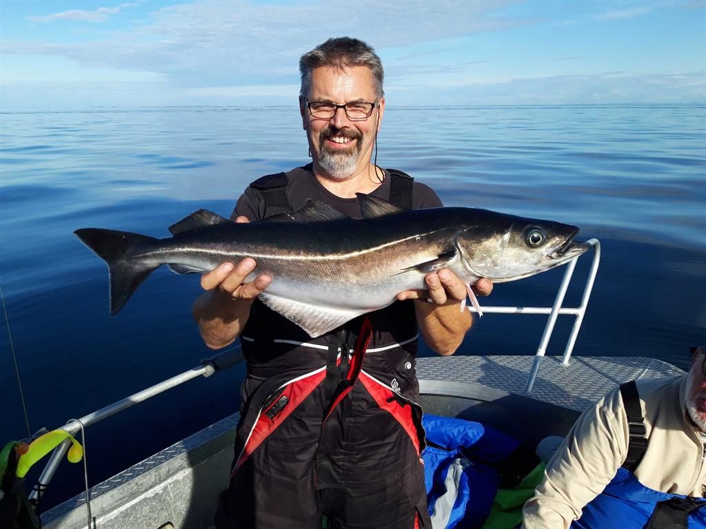 Portrait von  Hans Sommer