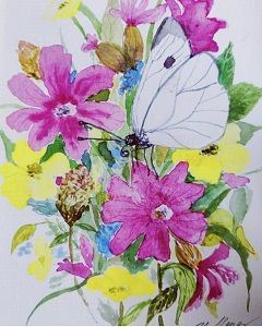 Schmetterling auf Bl&uuml;ten, Bild: Ute Meyer